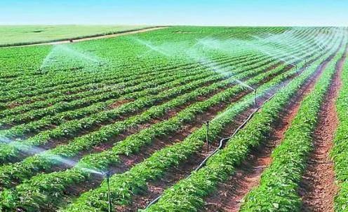抽插免费网站农田高 效节水灌溉